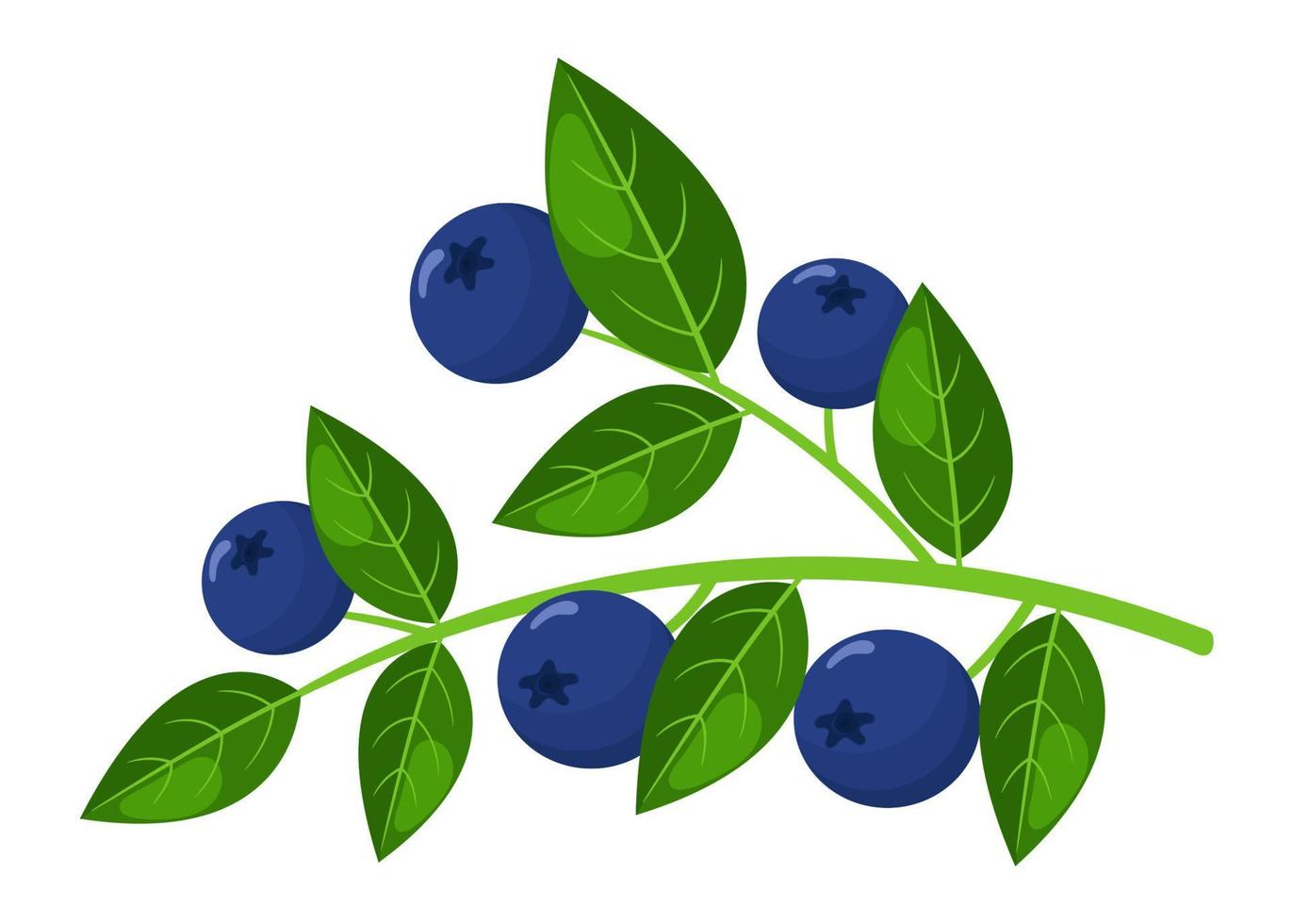 Fresh bright exotic blueberry branch isolated on white background. Summer fruits for healthy lifestyle. Organic fruit. Cartoon style. Vector illustration for any design.