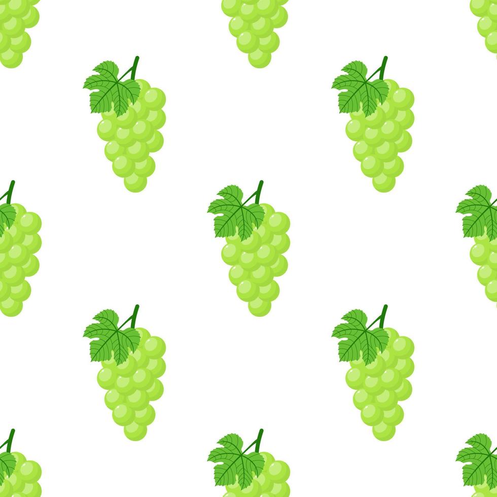 Seamless pattern with green grapes on white background. Bunch of purple grapes with stem and leaf. Cartoon style. Vector illustration for design, web, wrapping paper, fabric, wallpaper