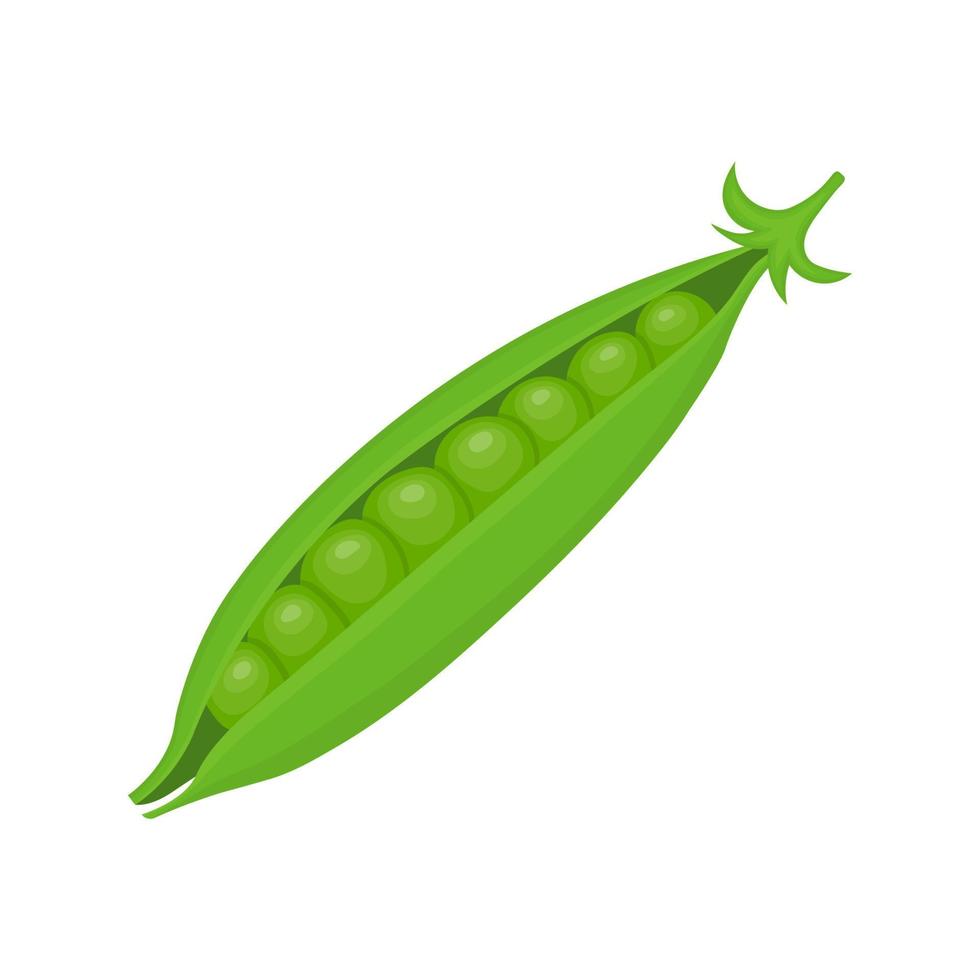 Fresh green pea vegetable isolated on white background. Pea icon for market, recipe design. Organic food. Cartoon style. Clean and modern vector illustration for design.