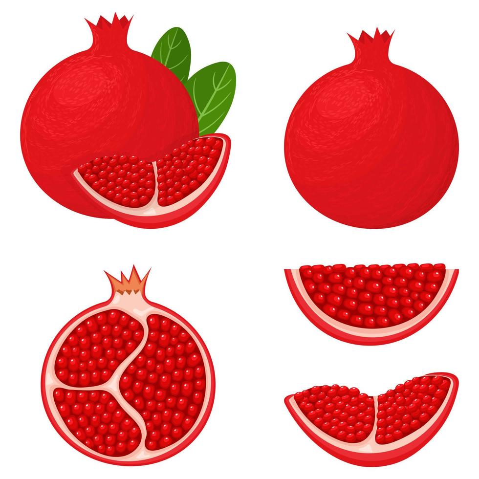 conjunto de frutas frescas de granada enteras, cortadas a la mitad, aisladas en fondo blanco. frutas de verano para un estilo de vida saludable. fruta organica estilo de dibujos animados ilustración vectorial para cualquier diseño. vector