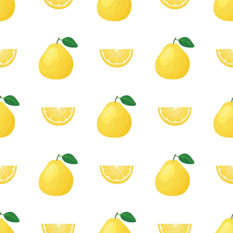 Seamless pattern with fresh bright exotic whole and cut slice pomelo fruit on white background. Summer fruits for healthy lifestyle. Organic fruit. Cartoon style. Vector illustration for any design