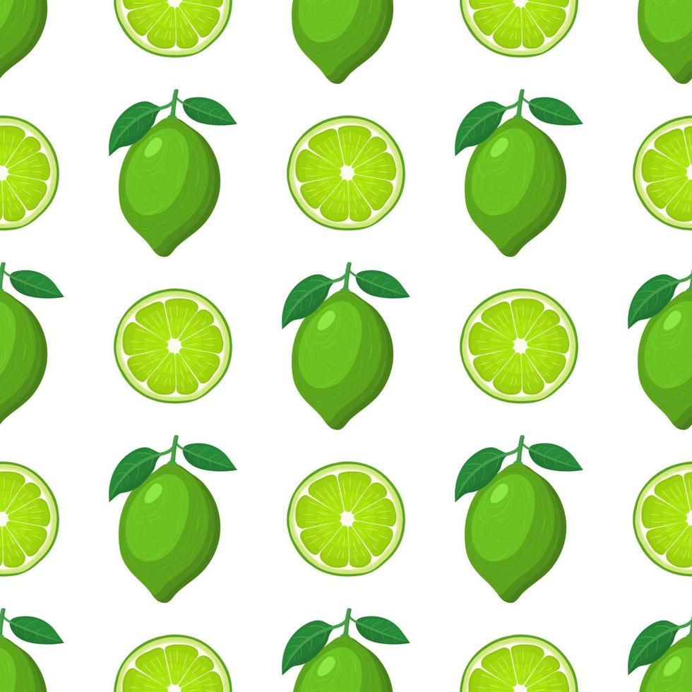Seamless pattern with fresh bright exotic whole and half lime fruit on white background. Summer fruits for healthy lifestyle. Organic fruit. Cartoon style. Vector illustration for any design.