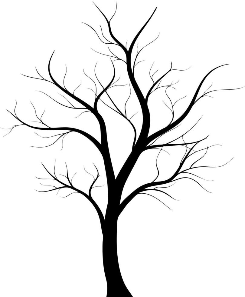 Dead tree silhouette. Vector old dry oak crown without leafs isolated on white