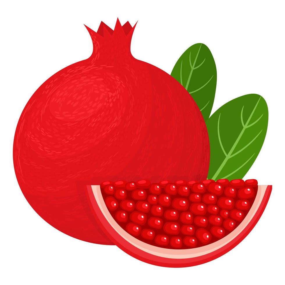 granada entera y trozo exótica brillante fresca con hojas aisladas sobre fondo blanco. frutas de verano para un estilo de vida saludable. fruta organica estilo de dibujos animados ilustración vectorial para cualquier diseño. vector