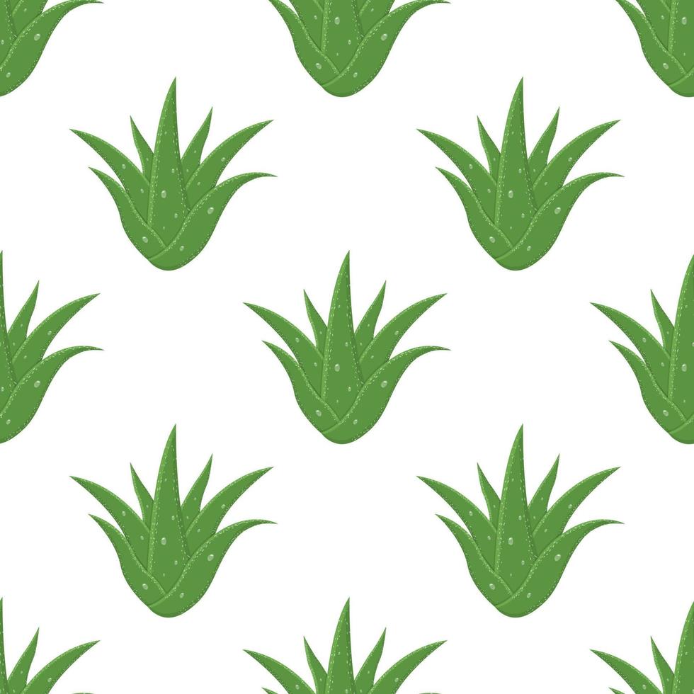Seamless pattern with aloe vera medicinal plant cut leaves isolated on white background. Cartoon style. Vector illustration for any design.