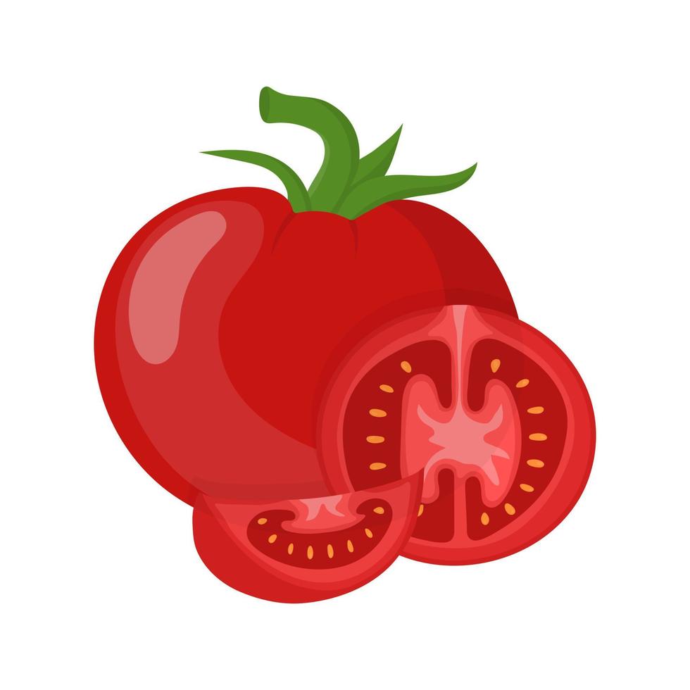 Fresh red tomato vegetable isolated on white background. Whole, half and slice tomato icon for market, recipe design, logo. Organic food. Cartoon style. Vector illustration for design.