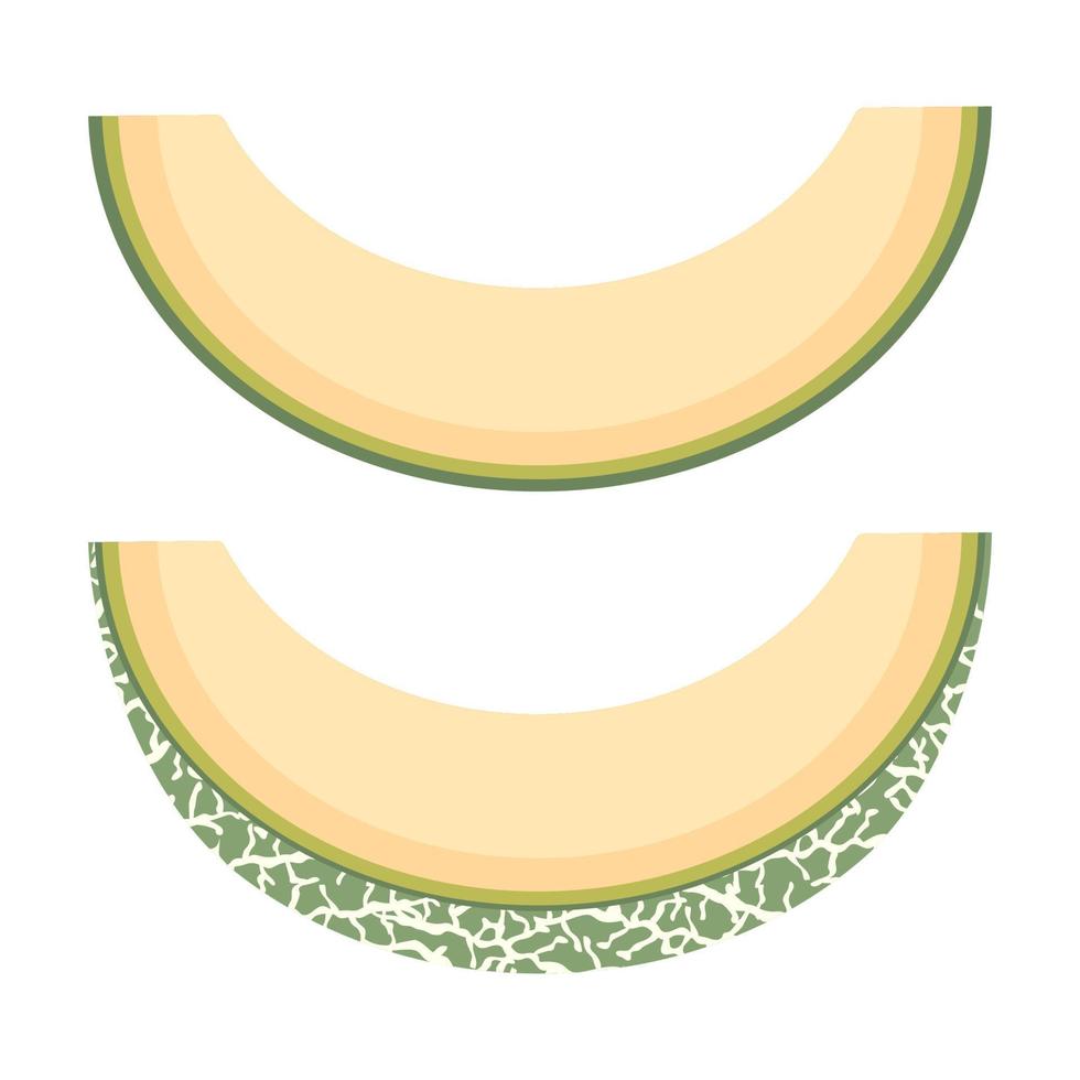 Fresh cut slice melon fruit isolated on white background. Cantaloupe melon. Summer fruits for healthy lifestyle. Organic fruit. Cartoon style. Vector illustration for any design.