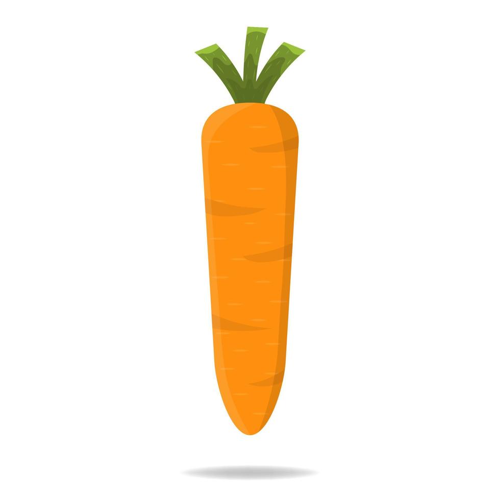 Fresh Carrot Vegetable isolated on white background. Carrot Icon for Farm, Market, Recipe Design. Organic Food. Cartoon Style. Vector illustration for Your Design, Web.