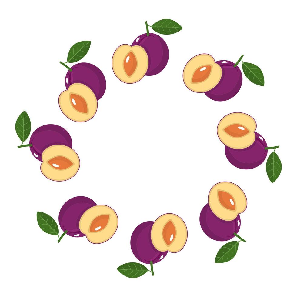 Wreath from plum fruits with space for text. Cartoon organic sweet food. Summer fruits for healthy lifestyle. Vector illustration for any design.
