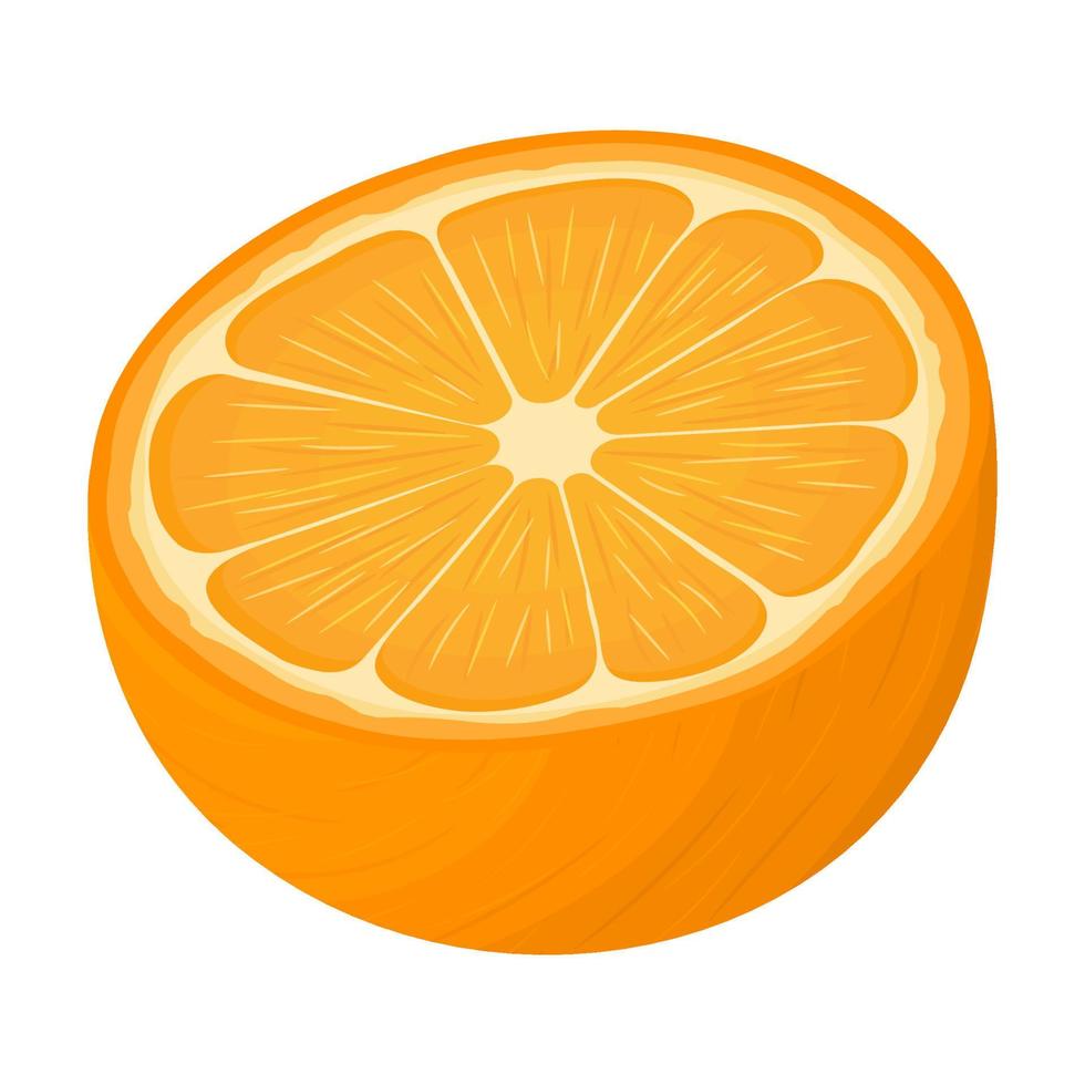 Fresh bright exotic half tangerine or mandarin isolated on white background. Summer fruits for healthy lifestyle. Organic fruit. Cartoon style. Vector illustration for any design.