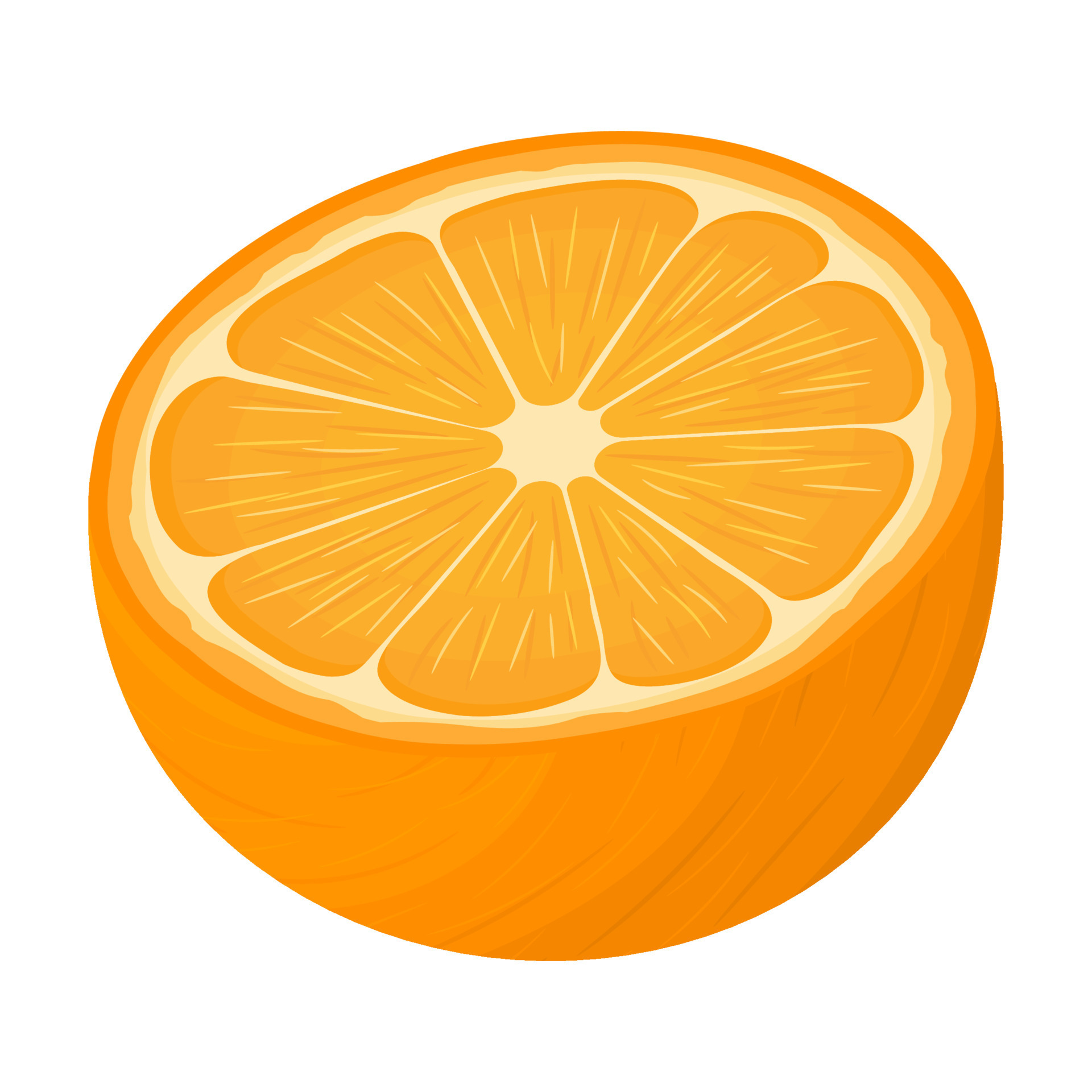 Fresh bright exotic half tangerine or mandarin isolated on white  background. Summer fruits for healthy lifestyle. Organic fruit. Cartoon  style. Vector illustration for any design. 10526187 Vector Art at Vecteezy