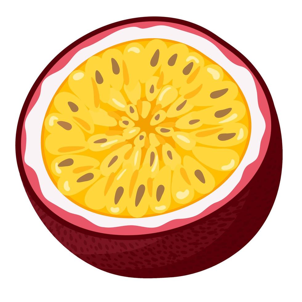 Fruta de la pasión fresca y exótica, medio cortada, aislada en fondo blanco. frutas de verano para un estilo de vida saludable. fruta organica estilo de dibujos animados ilustración vectorial para cualquier diseño. vector