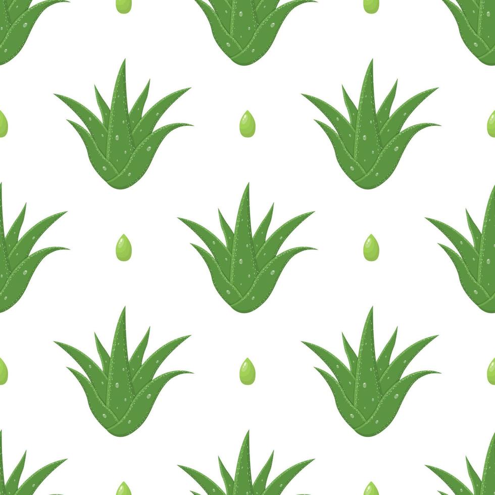 Seamless pattern with aloe vera medicinal plant cut leaves isolated on white background. Cartoon style. Vector illustration for any design.