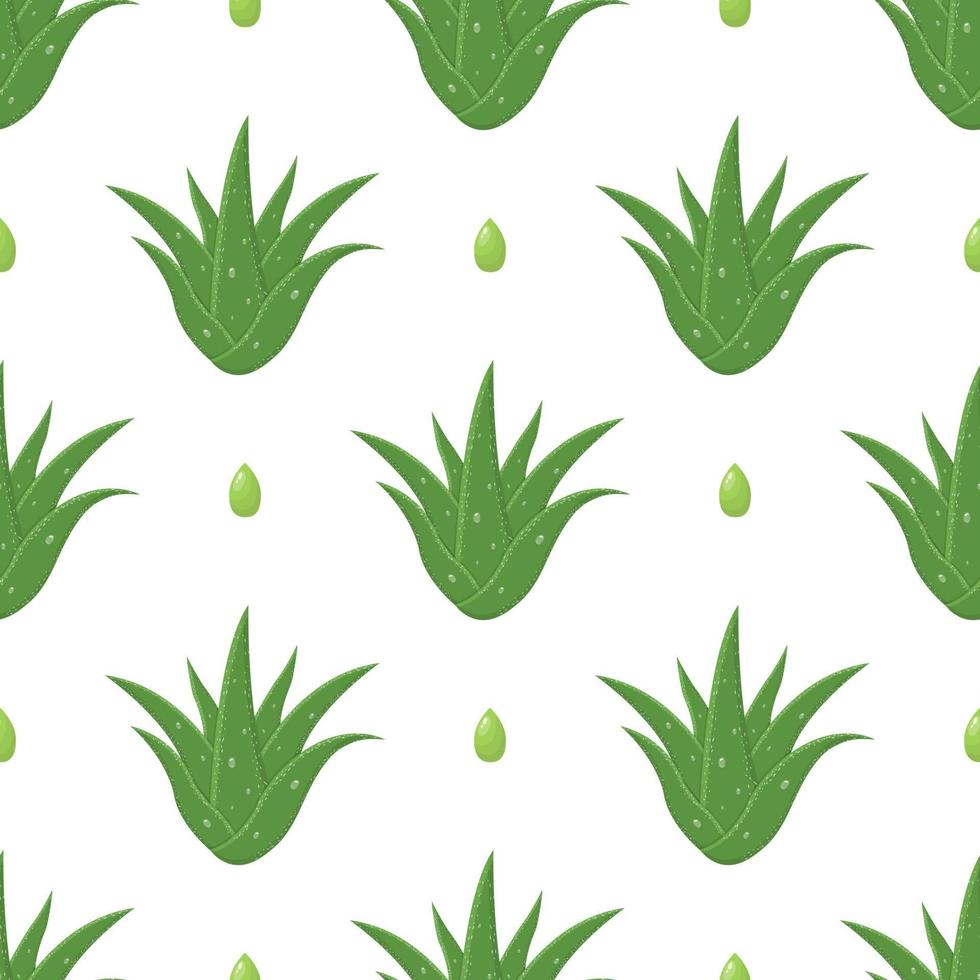 patrón sin costuras con hojas cortadas de plantas medicinales de aloe vera aisladas sobre fondo blanco. estilo de dibujos animados ilustración vectorial para cualquier diseño. vector