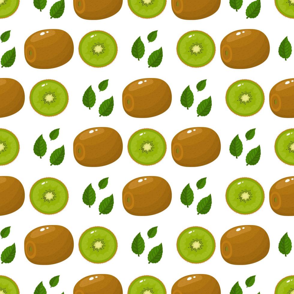 Seamless pattern with fresh whole and half kiwi fruit and leaves on white background. Summer fruits for healthy lifestyle. Organic fruit. Cartoon style. Vector illustration for any design.