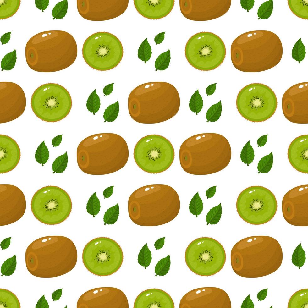 patrón sin costuras con kiwi entero y medio fresco y hojas sobre fondo blanco. frutas de verano para un estilo de vida saludable. fruta organica estilo de dibujos animados ilustración vectorial para cualquier diseño. vector