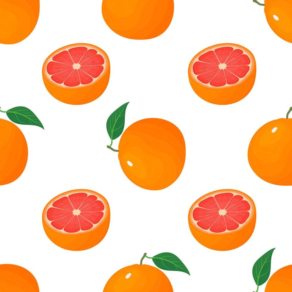 Seamless pattern with fresh bright exotic whole and half grapefruit isolated on white background. Summer fruits for healthy lifestyle. Organic fruit. Cartoon style. Vector illustration for any design.