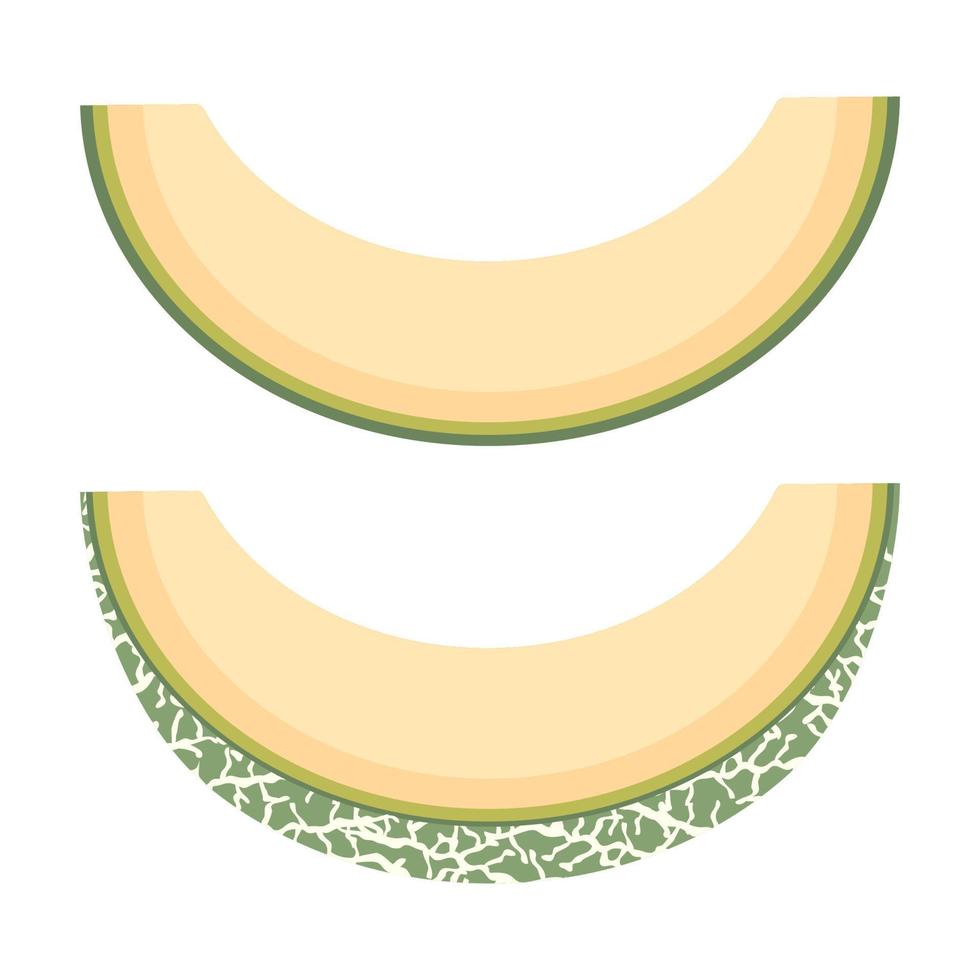 Rebanada de fruta de melón recién cortada aislada sobre fondo blanco. melón cantalupo. frutas de verano para un estilo de vida saludable. fruta organica estilo de dibujos animados ilustración vectorial para cualquier diseño. vector