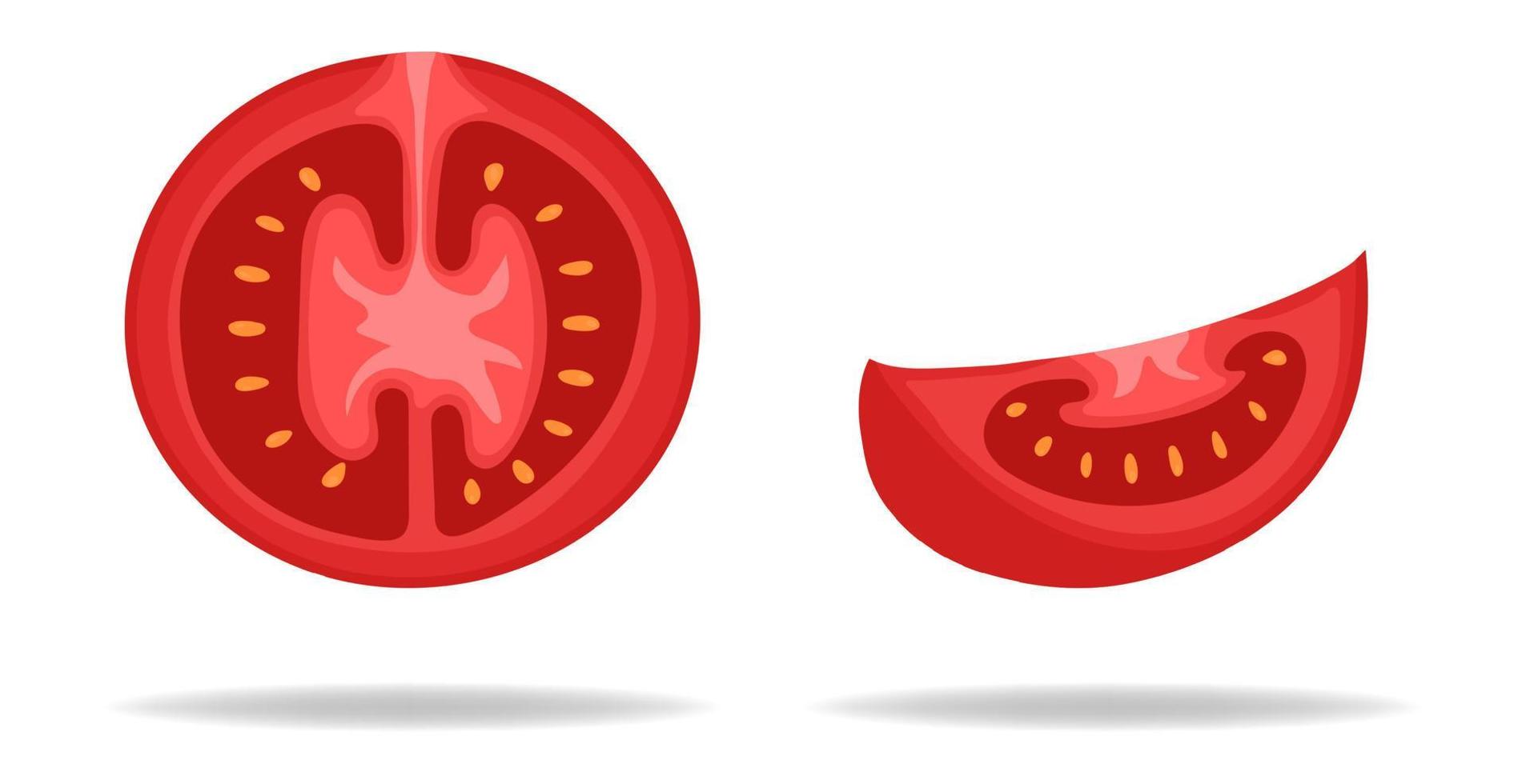 Fresh Red Tomato Half and Slice isolated on white background. Vegetable Icon for Market, Recipe Design. Organic Food. Cartoon Flat Style. Vector illustration for Your Design, Web.