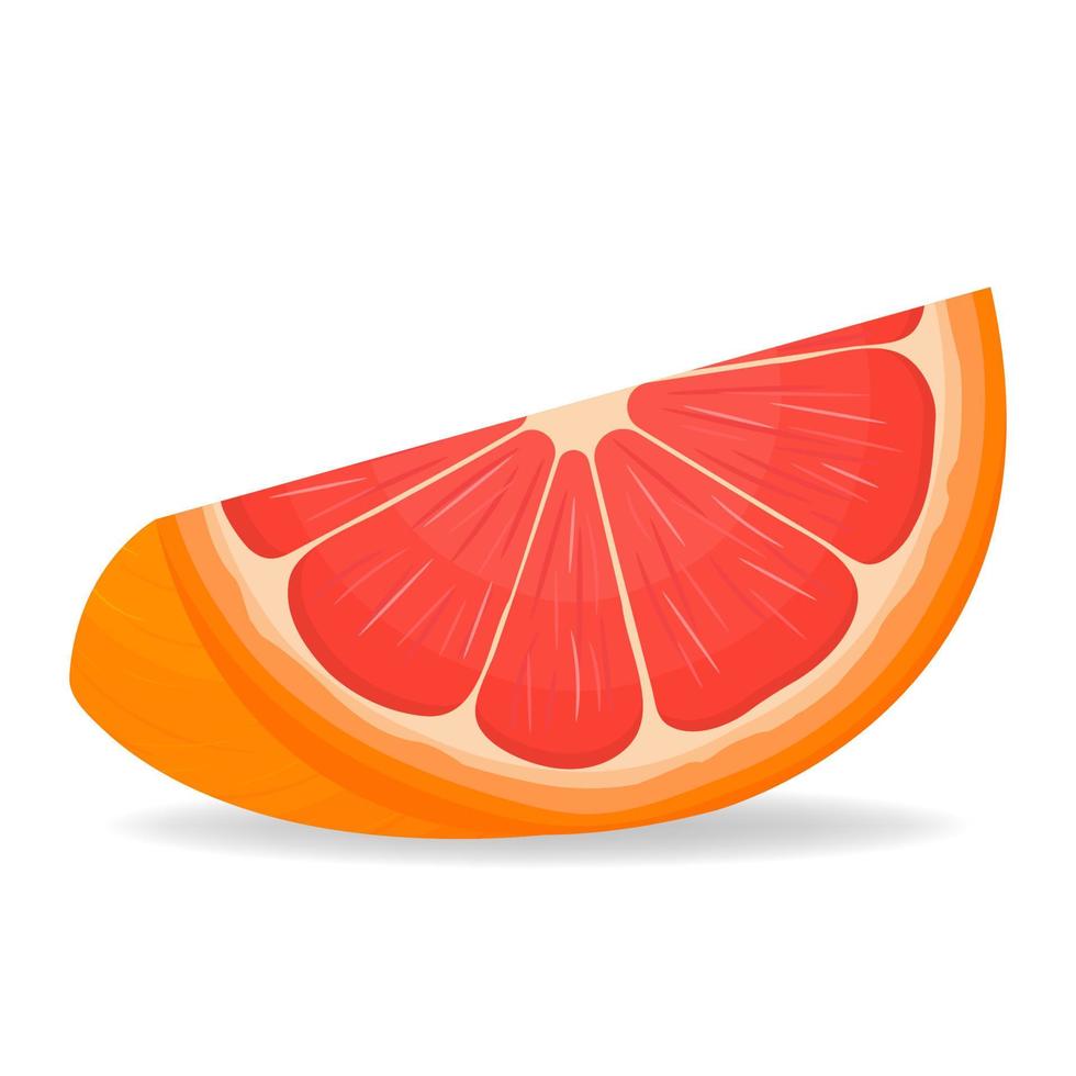 Fresh bright exotic cut slice grapefruit isolated on white background. Summer fruits for healthy lifestyle. Organic fruit. Cartoon style. Vector illustration for any design.