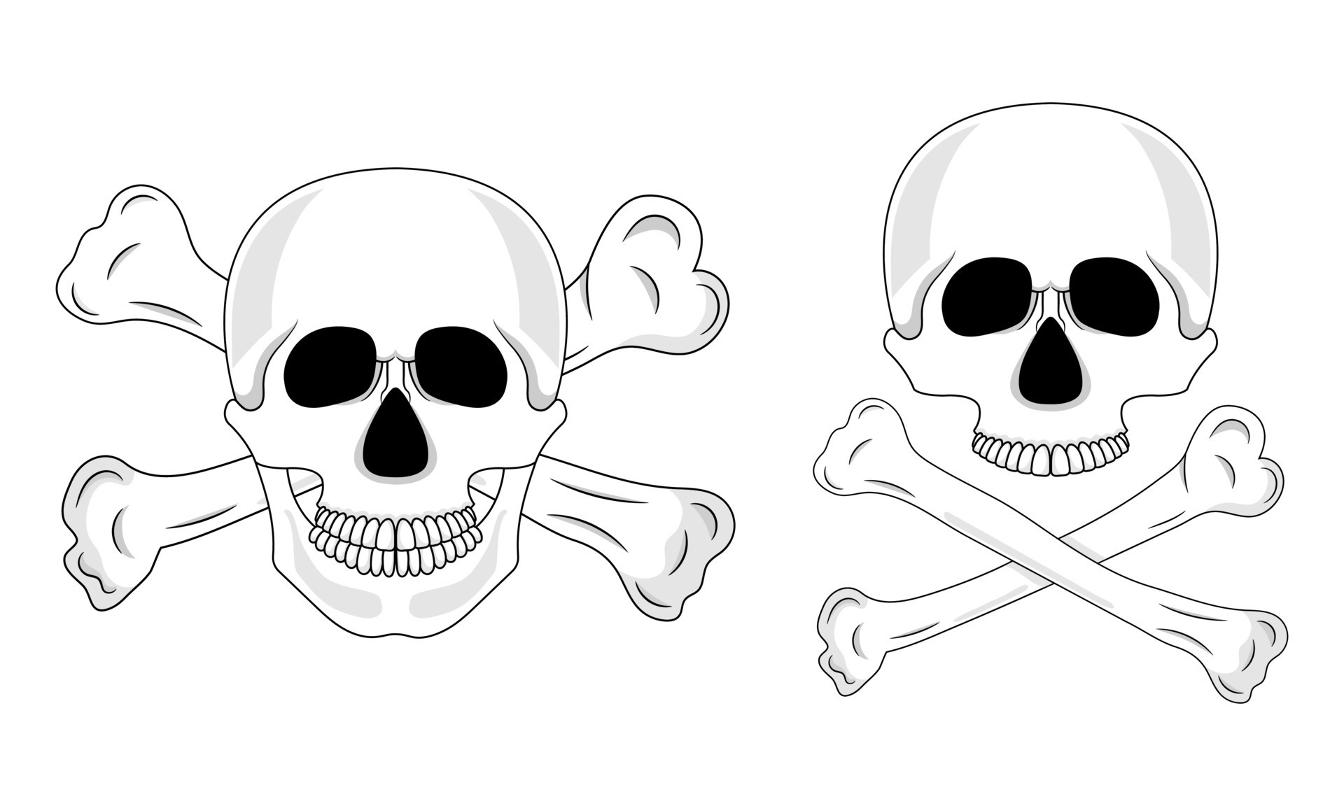 cráneo y huesos cruzados aislados sobre fondo blanco. cráneo humano de