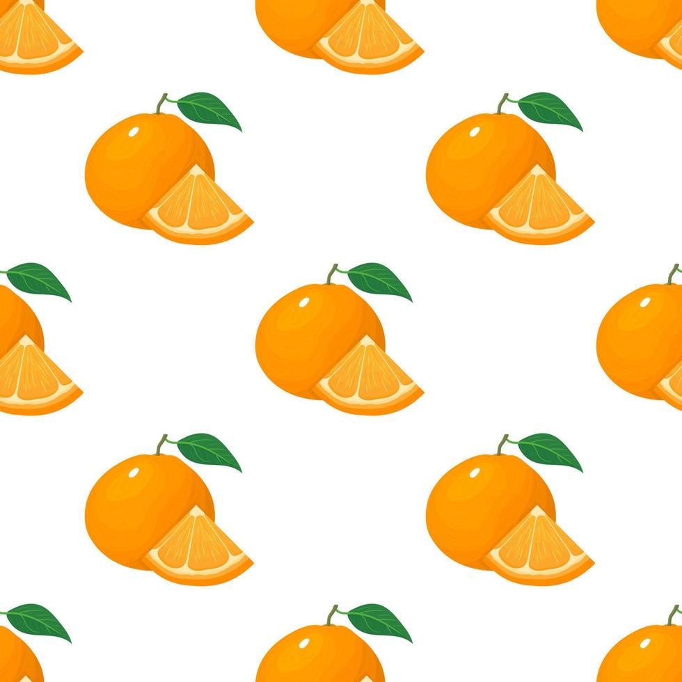 Seamless pattern with fresh bright exotic whole and slice tangerine or mandarin isolated on white background. Summer fruits for healthy lifestyle. Organic fruit. Vector illustration for any design.