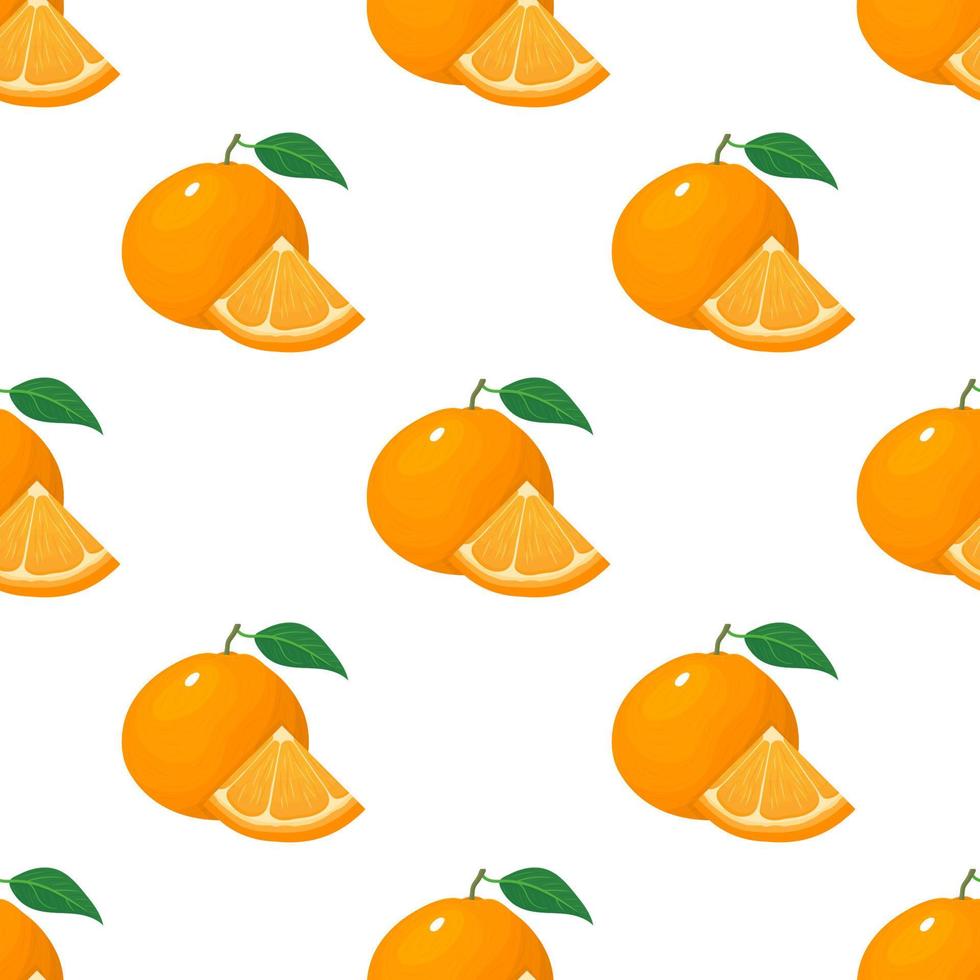 Seamless pattern with fresh bright exotic whole and slice tangerine or mandarin isolated on white background. Summer fruits for healthy lifestyle. Organic fruit. Vector illustration for any design.