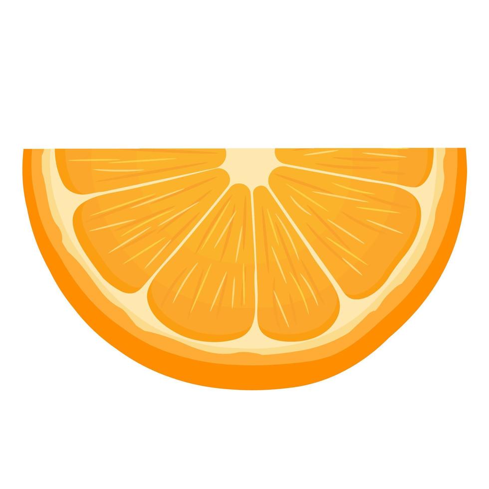 Fresh bright exotic slice tangerine or mandarin isolated on white background. Summer fruits for healthy lifestyle. Organic fruit. Cartoon style. Vector illustration for any design.