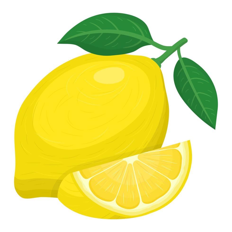 Fresh bright exotic whole and cut slice lemon fruit isolated on white background. Summer fruits for healthy lifestyle. Organic fruit. Cartoon style. Vector illustration for any design.