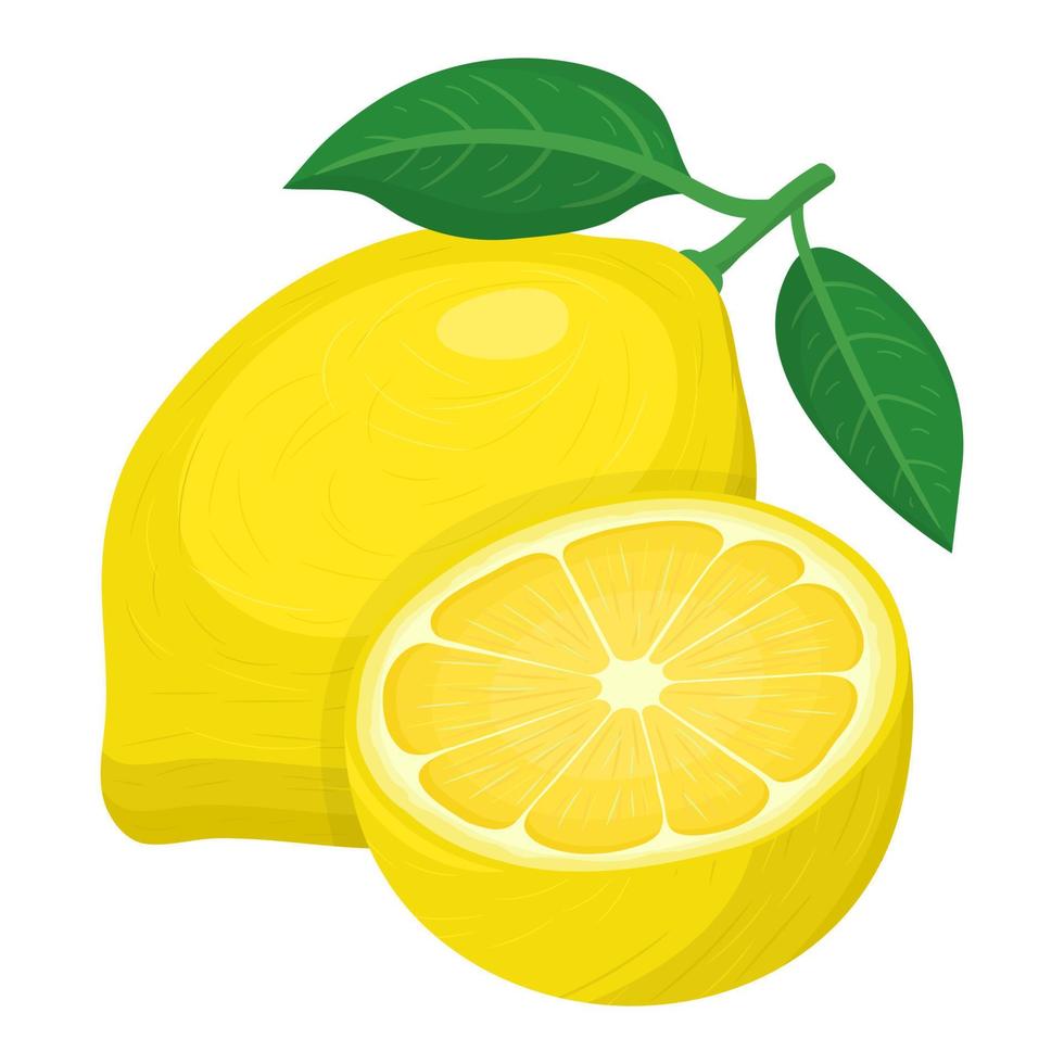 Fresh bright exotic whole and half lemon fruit isolated on white background. Summer fruits for healthy lifestyle. Organic fruit. Cartoon style. Vector illustration for any design.