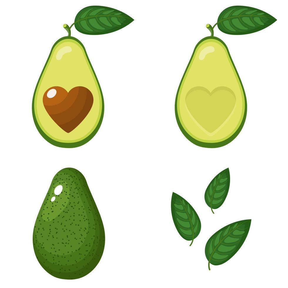 conjunto de aguacate fresco entero, medio, cortado en rodajas y hojas con corazón aislado sobre fondo blanco. frutas de verano para un estilo de vida saludable. fruta organica estilo de dibujos animados ilustración vectorial para cualquier diseño. vector