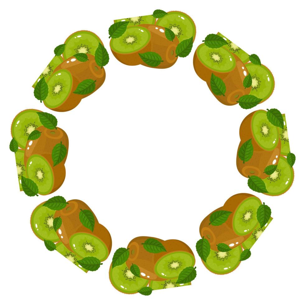 Wreath from green kiwi fruits with space for text. Cartoon organic sweet food. Summer fruits for healthy lifestyle. Vector illustration for any design.