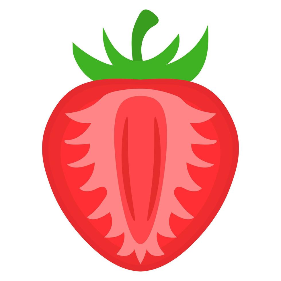 fresa fresca y exótica medio cortada aislada sobre fondo blanco. frutas de verano para un estilo de vida saludable. fruta organica estilo de dibujos animados ilustración vectorial para cualquier diseño. vector