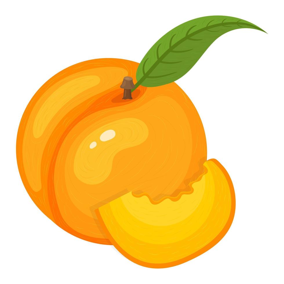 dibujos animados detallados exóticos enteros y rebanadas de melocotón aislado sobre fondo blanco. frutas de verano para un estilo de vida saludable. fruta organica estilo de dibujos animados ilustración vectorial para cualquier diseño. vector