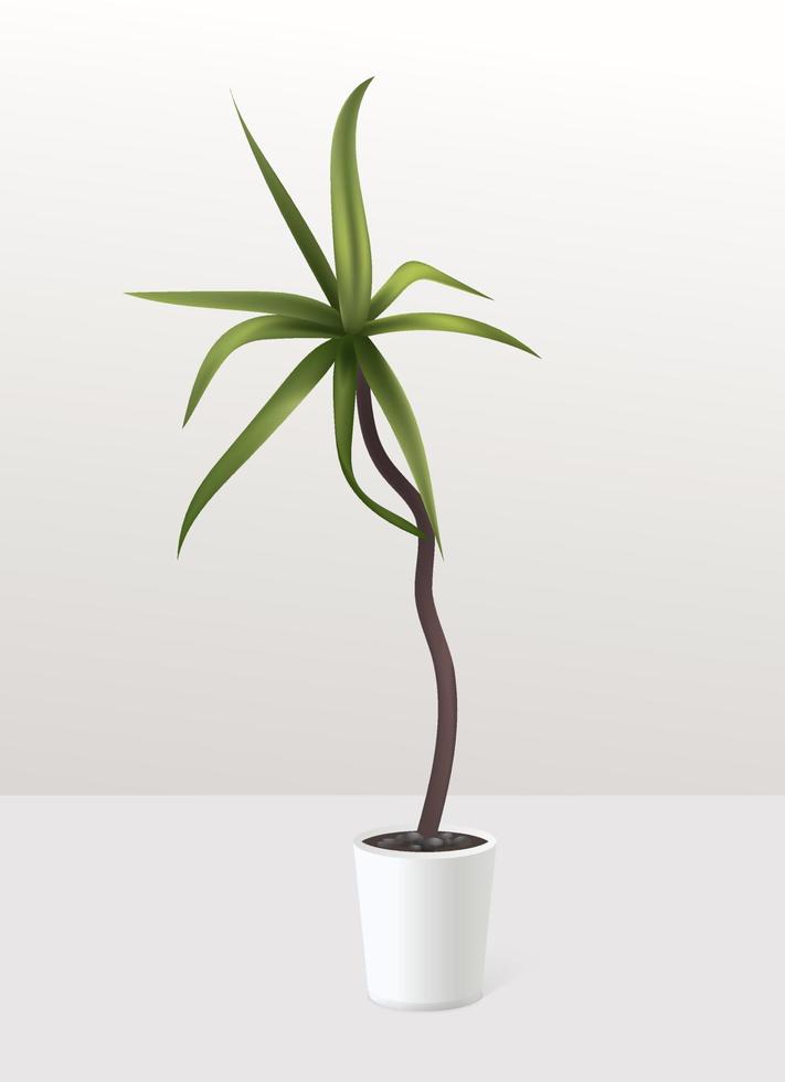 Realistic green plant in white pot in the interior. Palm tree tropical house plant. Gardening and home decoration floral concept. Vector illustration.