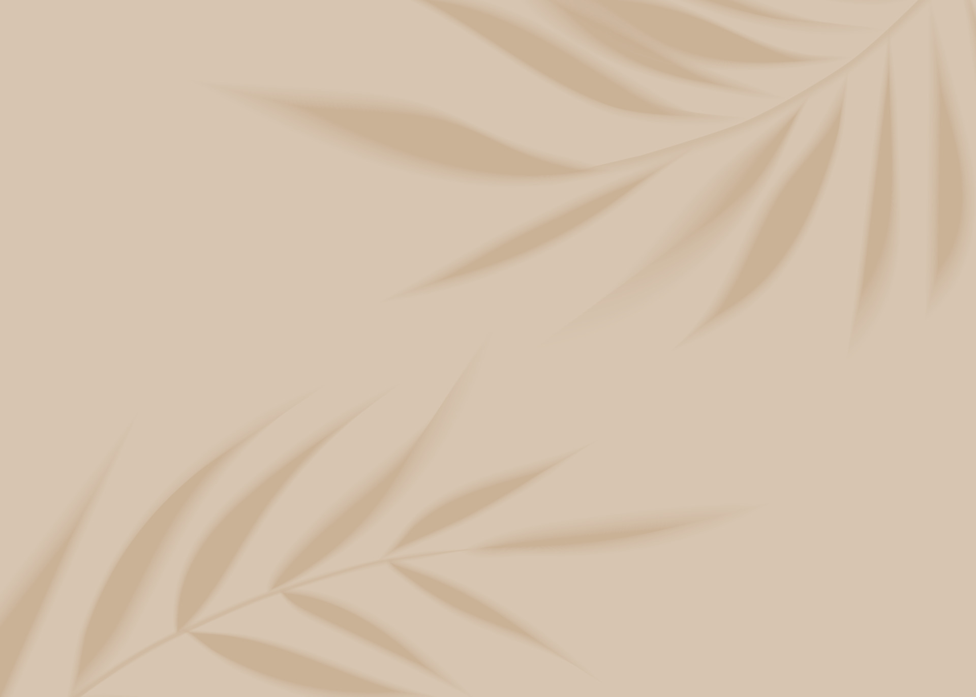 Realistic transparent shadow from a leaf of a palm tree on the beige