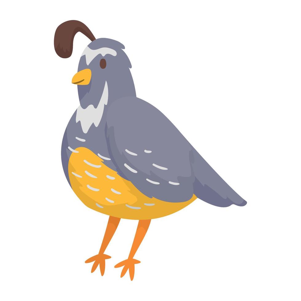 cute quail animal kid vector