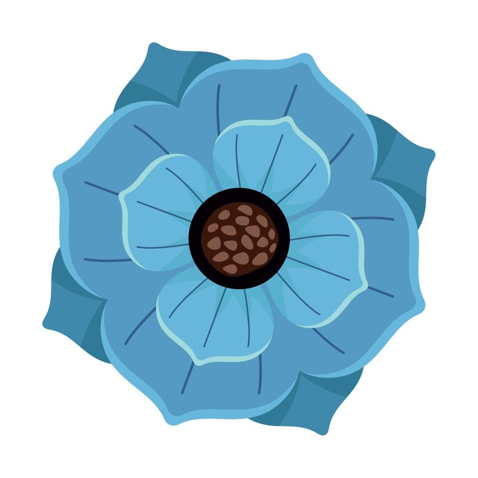 blue flower spring vector