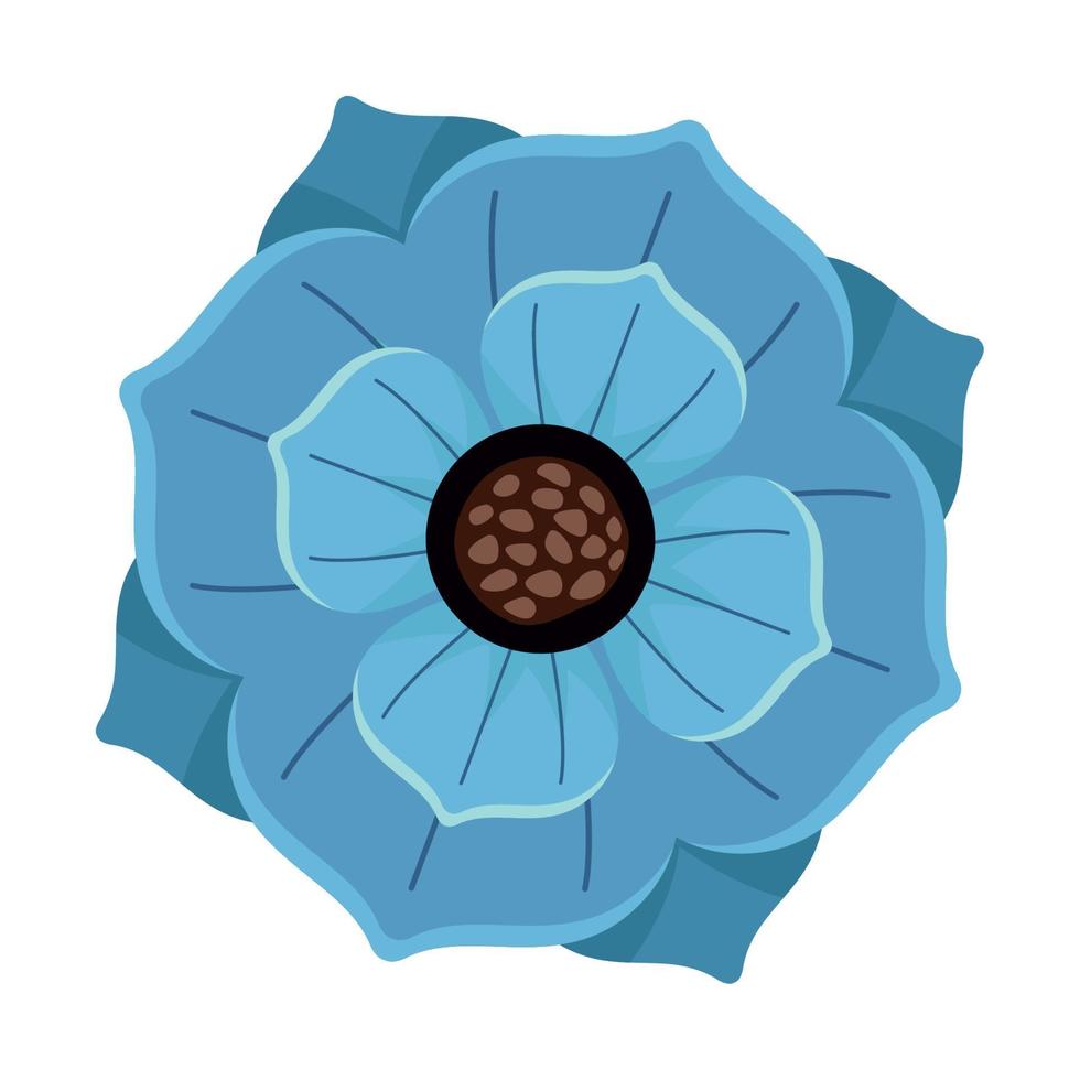 blue flower spring vector