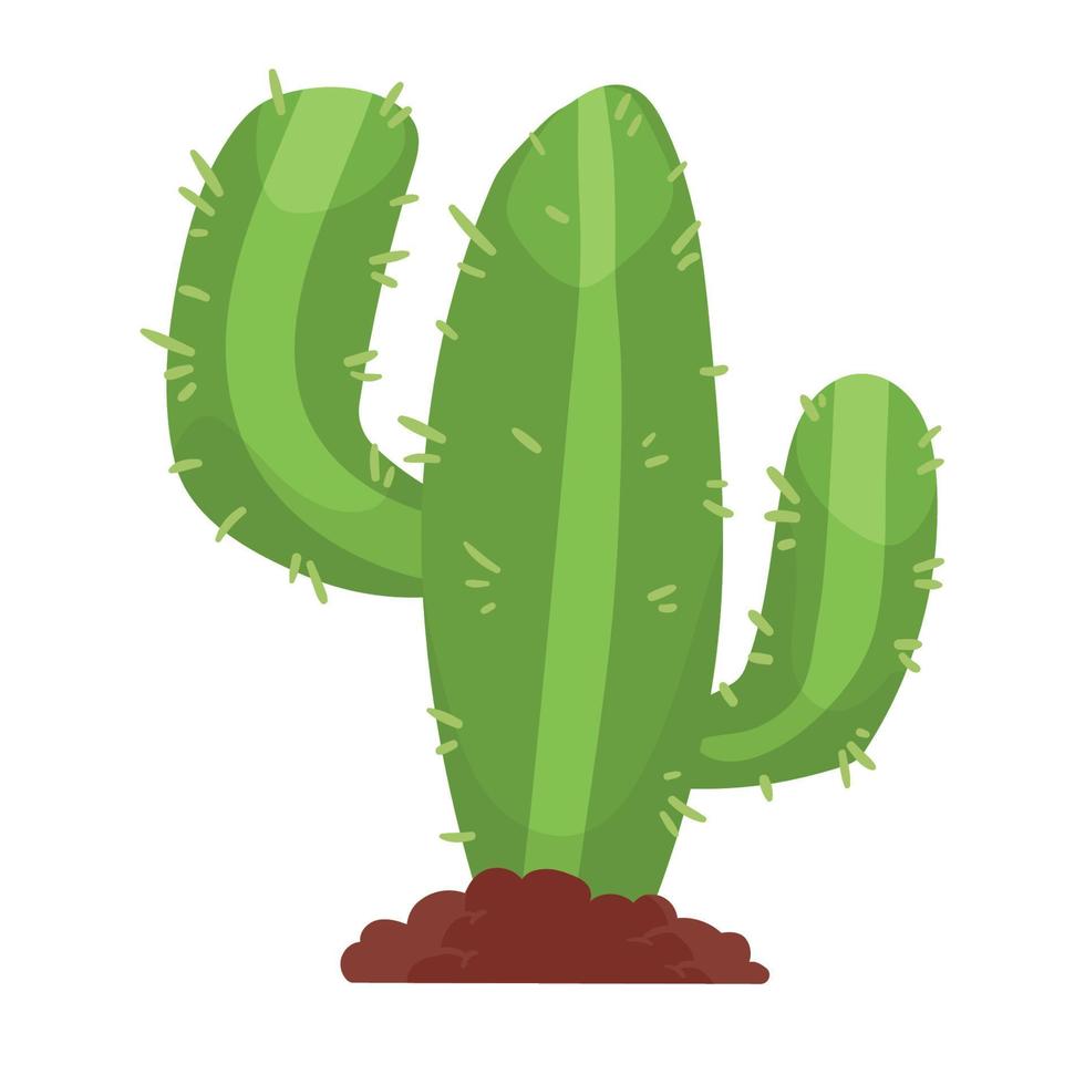 cactu desert plant vector