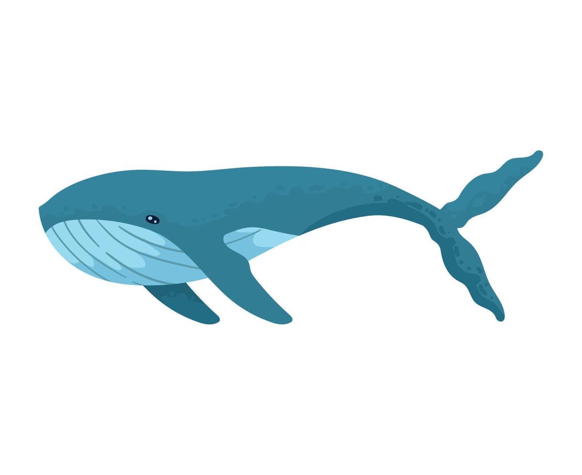 whale sealife animal vector