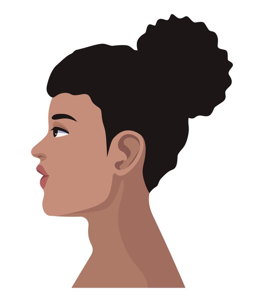 young woman hairstyle character vector