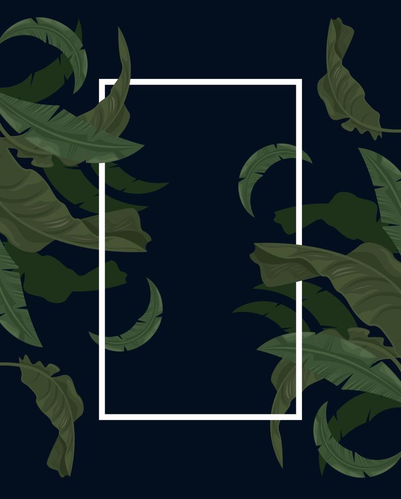 hojas tropicales en marco rectangular vector
