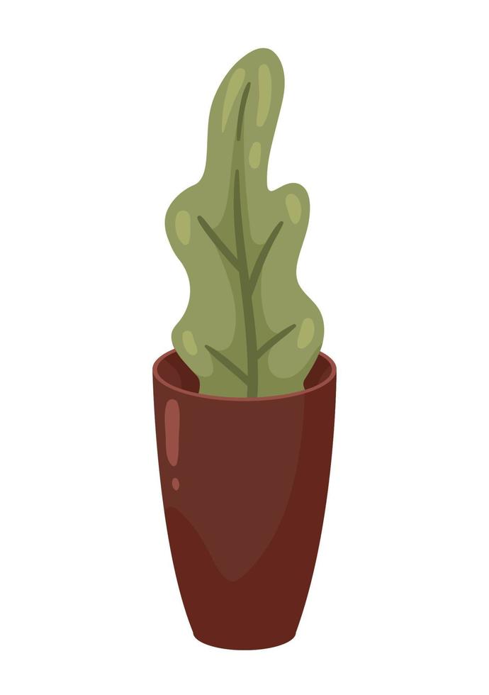 houseplant in ceramic pot vector