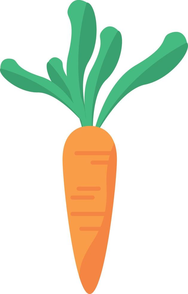 fresh carrot vegetable vector