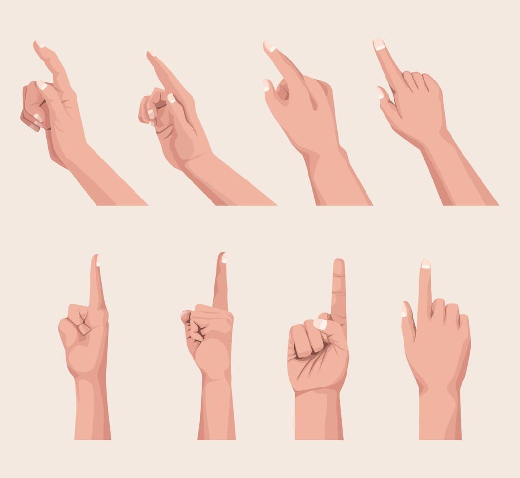 eight fingers point vector