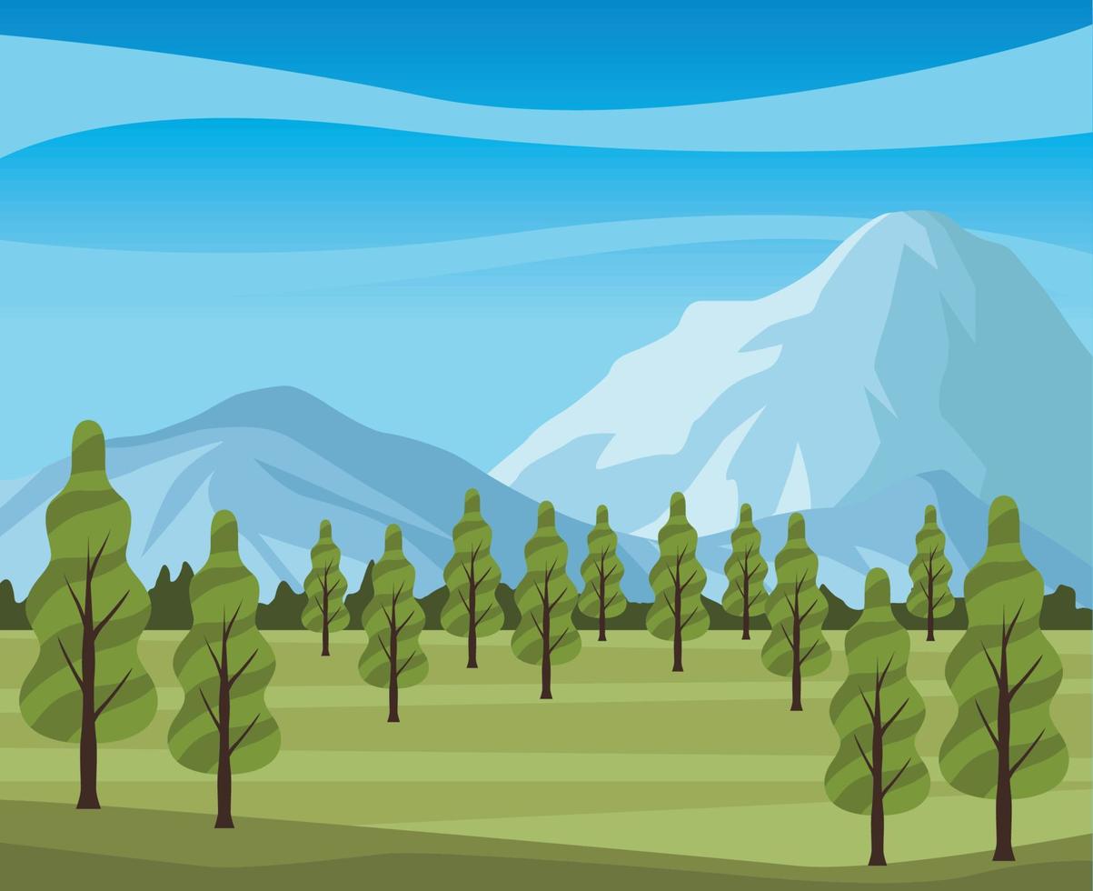 pines in the camp landscape vector