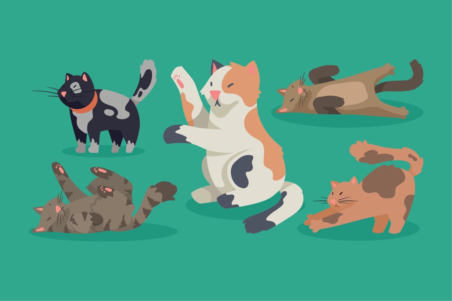 cinco lindos gatos mascotas vector