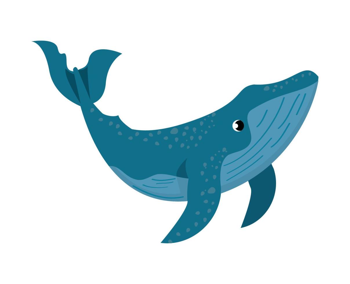 whale sealife animal vector