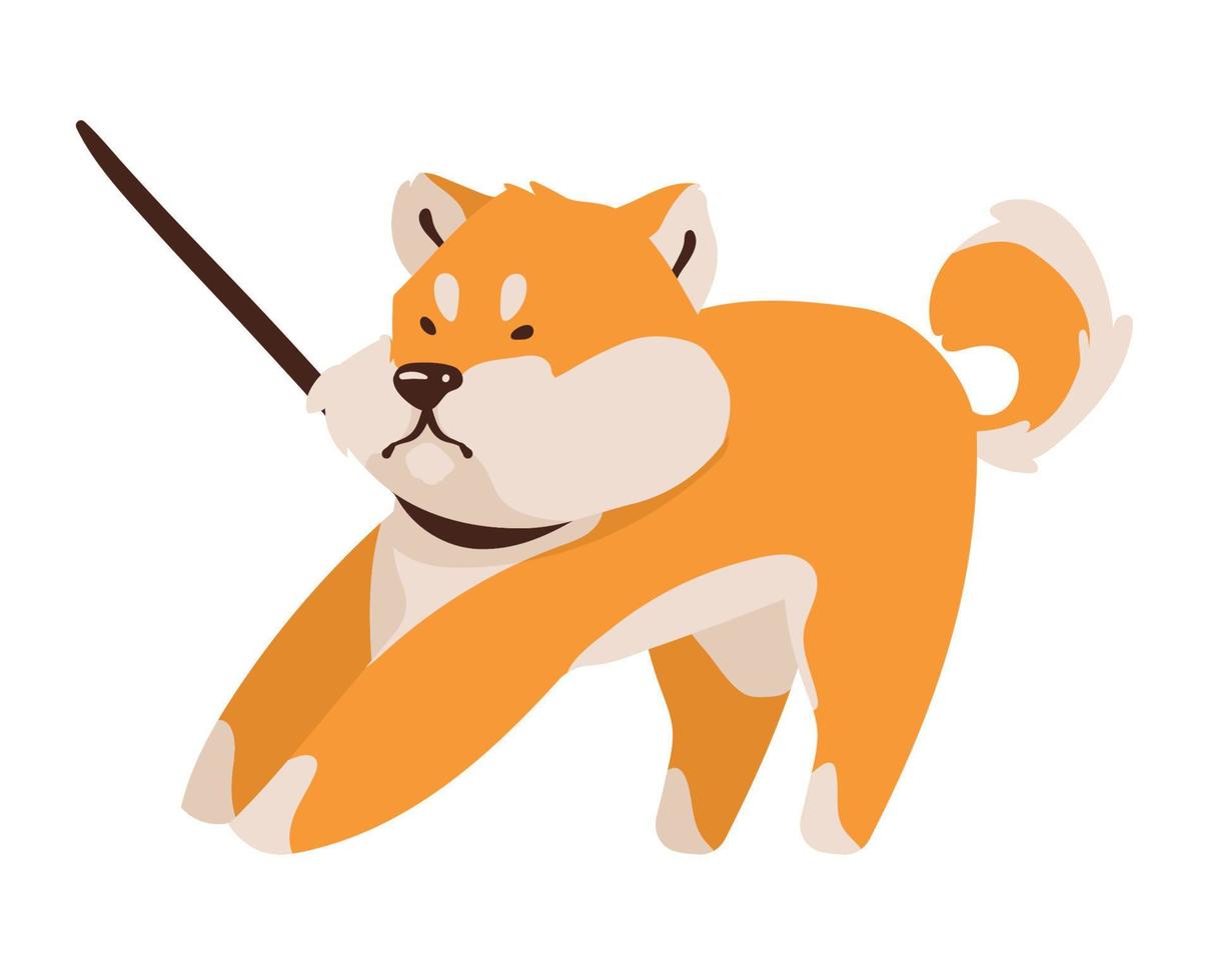 shiba inu con collar vector